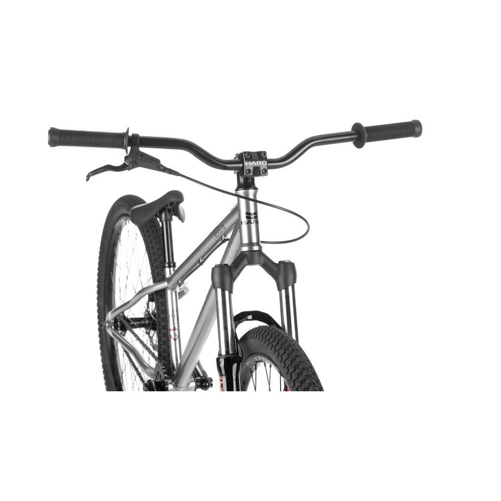 Haro Steel Reserve.2 Bike 2021 - NICKEL LRG