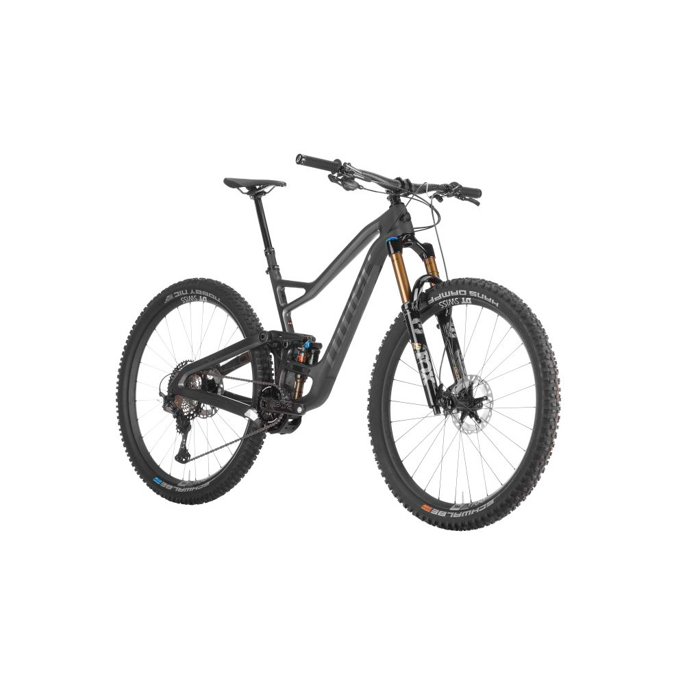 Niner RIP 9 RDO 29 4-Star Bike 2021 - CAR SM
