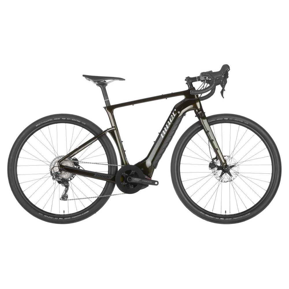 Niner RLT e9 RDO 4-Star E-Bike - MOSS 59